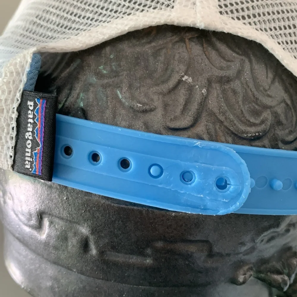 Patagonia Hat